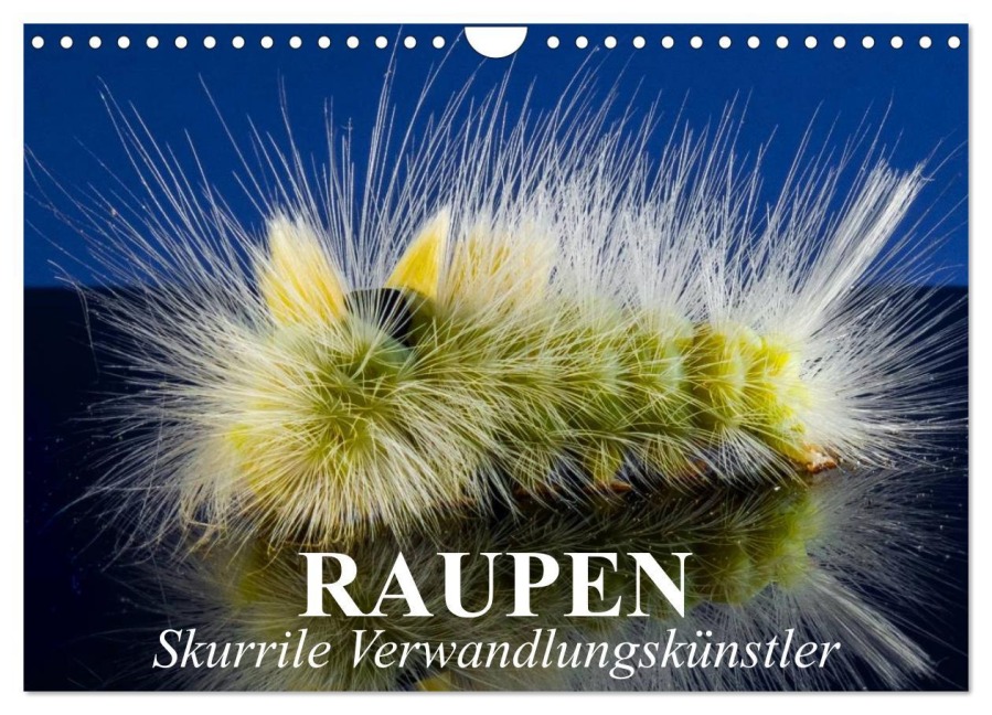 Raupen - Skurrile Verwandlungskünstler (Wandkalender 2026 DIN A4 quer), CALVENDO Monatskalender - Elisabeth Stanzer