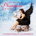 Cover-Bild zum Titel 'Phantoesie mit Winterzauber' von 'Petra Lehmann'