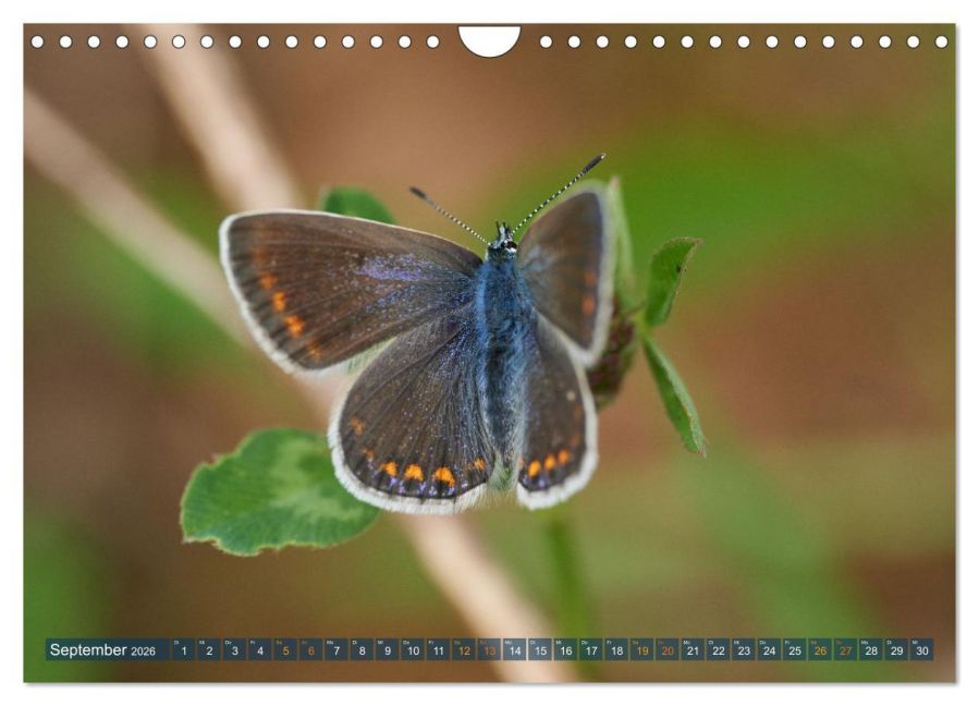 InsideView 14