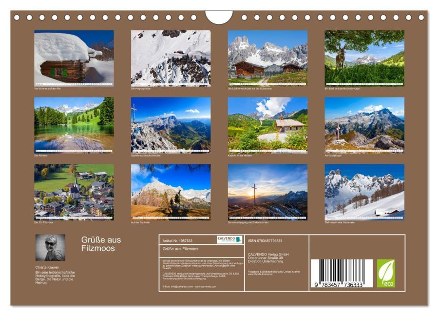 InsideView 5