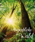 Augenblicke im Wald 2025 - 