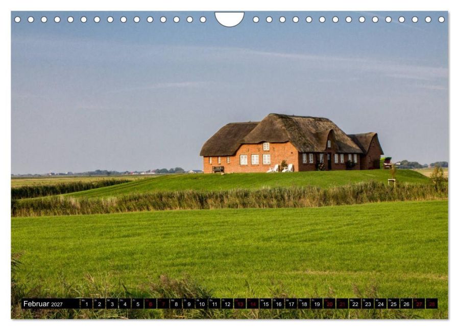 InsideView 7