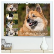 Cover-Bild zum Titel 'Islandhunde im Portrait (hochwertiger Premium Wandkalender 2026 DIN A2 quer), Kunstdruck in Hochglanz' von 'Monika Scheurer'