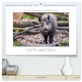 Emotionale Momente: Das Wildschwein. (hochwertiger Premium Wandkalender 2025 DIN A2 quer), Kunstdruck in Hochglanz - Ingo Gerlach GDT