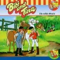 Cover-Bild zum Titel 'Folge 28:Die wilde Meute' von 'Bibi & Tina'