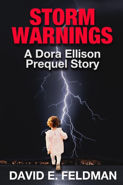 Storm Warnings (Dora Ellison Mystery Series, #0.5) - David E. Feldman