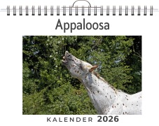 Cover-Bild zum Titel 'Appaloosa' von 'Paul Scholz'