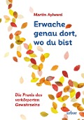Cover-Bild zum Titel 'Erwache genau dort, wo du bist' von 'Martin Aylward'