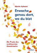 Erwache genau dort, wo du bist - Martin Aylward