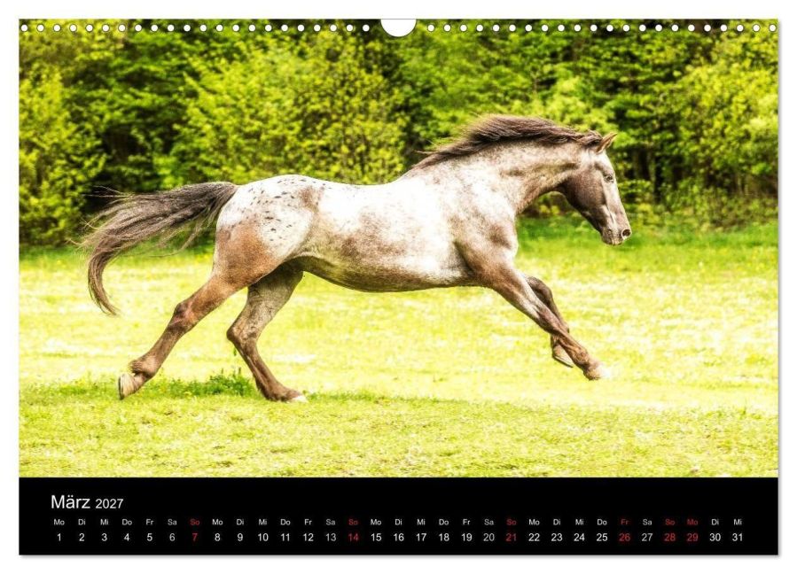 InsideView 8