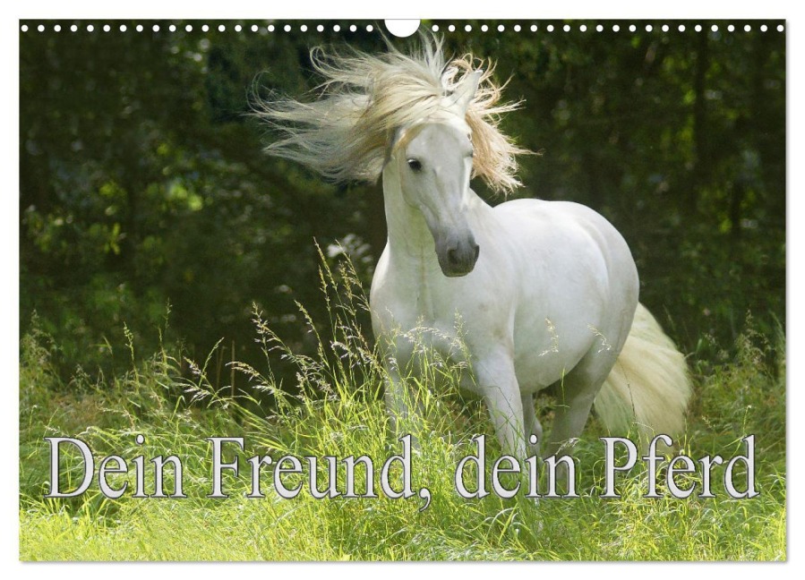Dein Freund, dein Pferd (Wandkalender 2026 DIN A3 quer), CALVENDO Monatskalender - Erika Müller