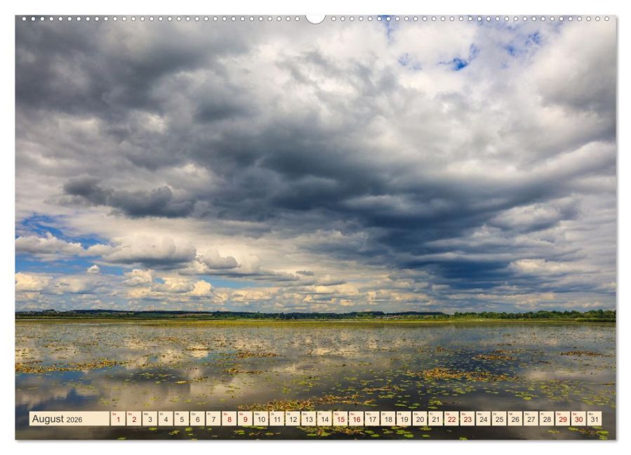 InsideView 12