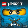 Cover-Bild zum Titel 'Jay (Band 14)' von 'Greg Farshtey'