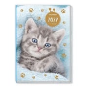 Cover-Bild zum Titel 'TRÖTSCH - Taschenkalender A7 Katze 2027' von ''