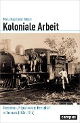 Cover-Bild zum Titel 'Koloniale Arbeit' von 'Minu Haschemi Yekani'