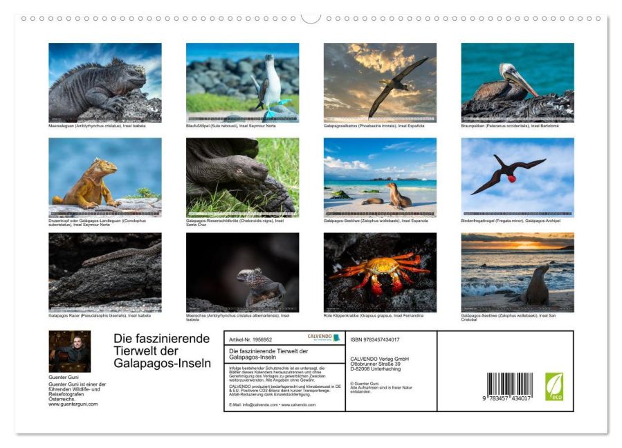 InsideView 4