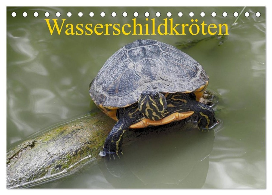 Wasserschildkröten (Tischkalender 2027 DIN A5 quer), CALVENDO Monatskalender - Klaudia Kretschmann