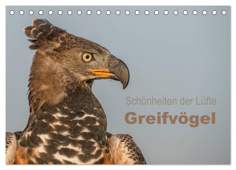 Schönheiten der Lüfte - Greifvögel (Tischkalender 2025 DIN A5 quer), CALVENDO Monatskalender - Tanja Brandt