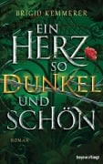 Cover-Bild zum Titel 'Ein Herz so dunkel und schön' von 'Brigid Kemmerer'