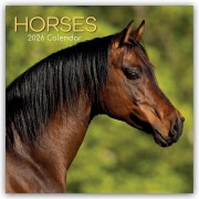 Horses - Pferde 2026 - 16-Monatskalender - Gifted Stationery Co. Ltd