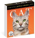 Cat Page-A-Day® Gallery Calendar 2025 - 