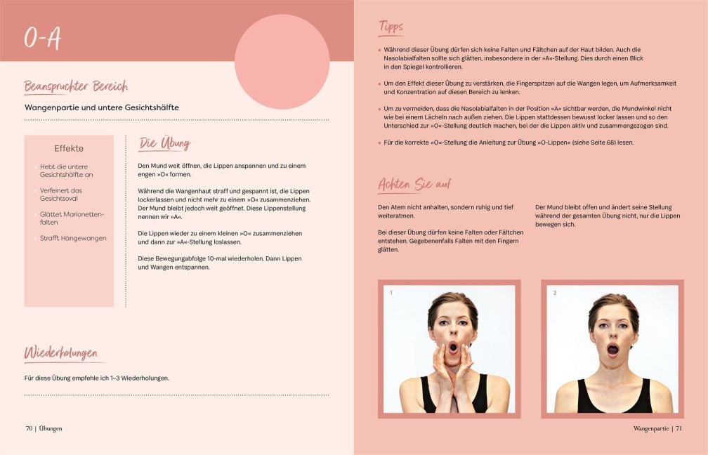 InsideView 6