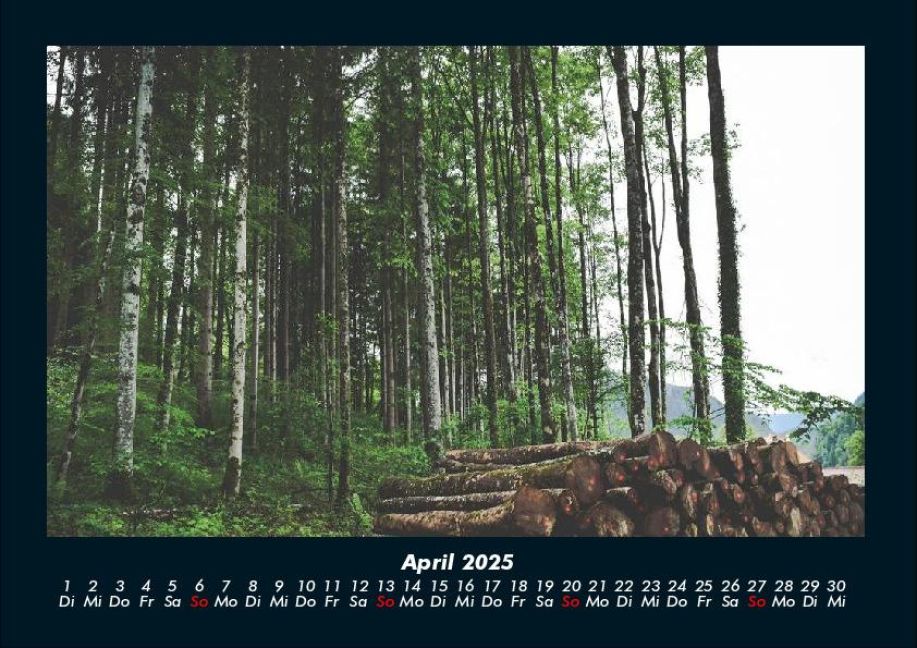 InsideView 8
