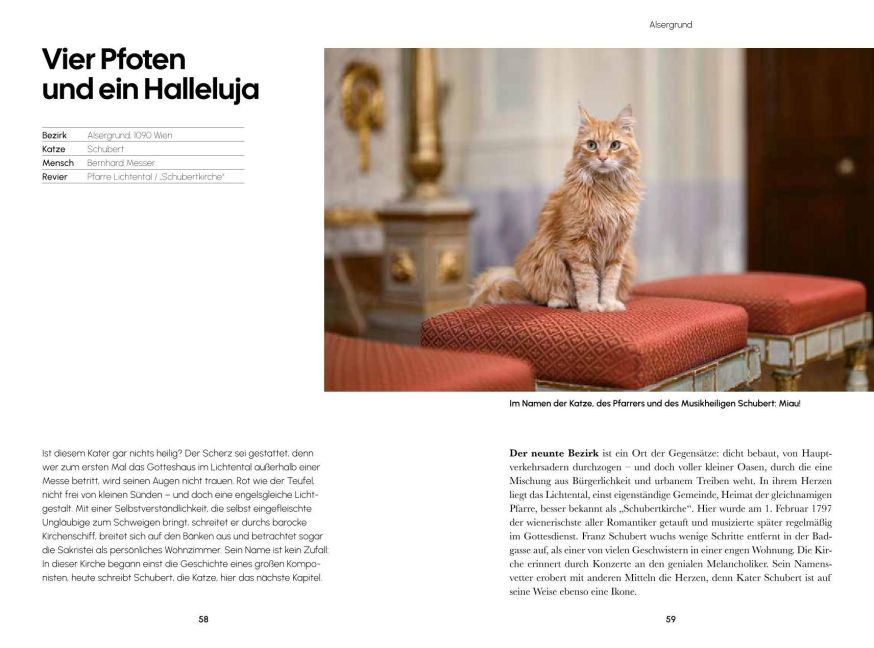 InsideView 8