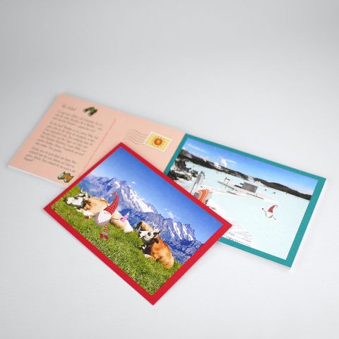 InsideView 5