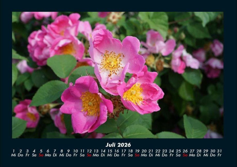 InsideView 11