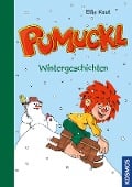 Cover-Bild zum Titel 'Pumuckl Vorlesebuch - Wintergeschichten' von 'Ellis Kaut, Uli Leistenschneider'