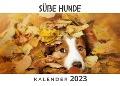 Cover-Bild zum Titel 'Süße Hunde' von 'Bibi Hübsch'