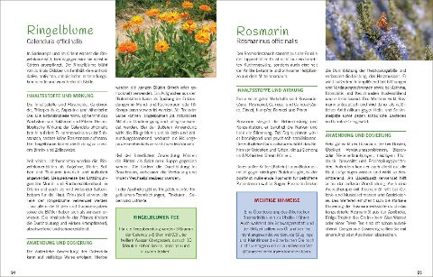 InsideView 3