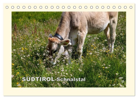 SÜDTIROL-Schnalstal (Tischkalender 2024 DIN A5 quer), CALVENDO Monatskalender - Richard Walliser