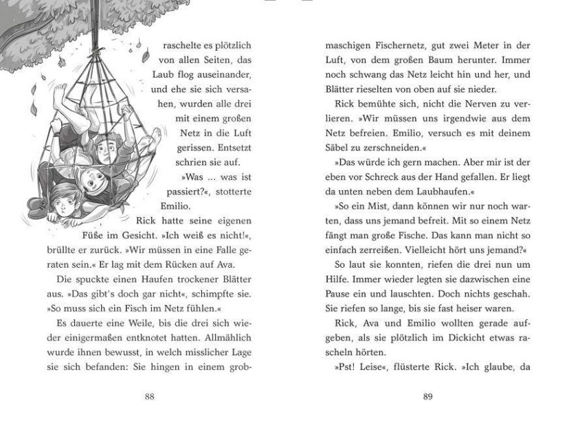 InsideView 1