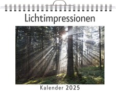 Cover-Bild zum Titel 'Lichtimpressionen' von 'Luisa Schäfer'