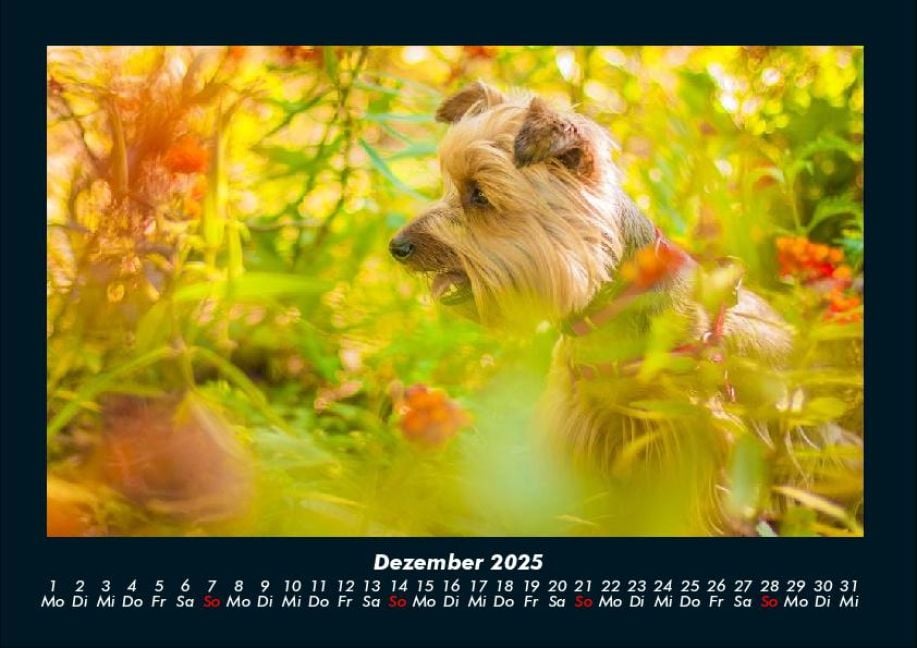 InsideView 4