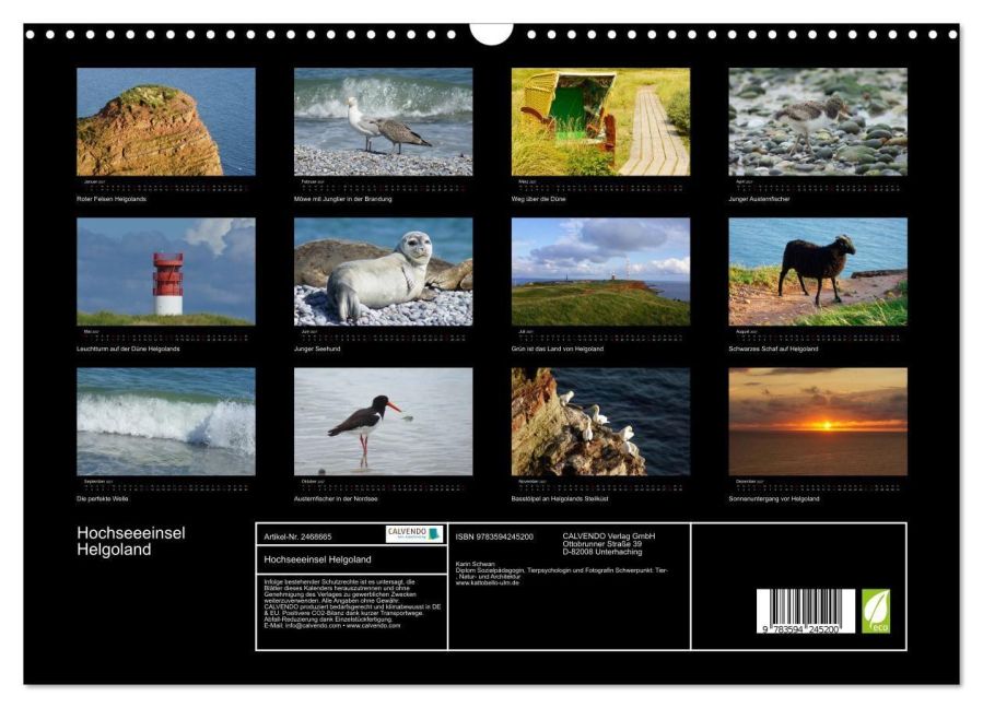 InsideView 5