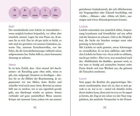 InsideView 4