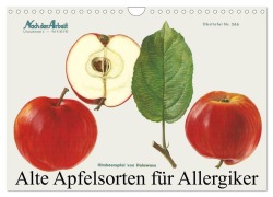 Cover-Bild zum Titel 'Alte Apfelsorten für Allergiker (Wandkalender 2026 DIN A4 quer), CALVENDO Monatskalender' von 'Willi'
