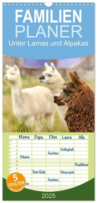 Familienplaner 2025 - Unter Lamas und Alpakas mit 5 Spalten (Wandkalender, 21 x 45 cm) CALVENDO - Oliver Nowak