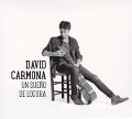 Cover-Bild zum Titel 'Un Sue¿o de Locura' von 'David Carmona'