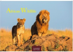 Cover-Bild zum Titel 'Wilde Tiere Afrikas Kalender 2027 - Wandkalender | Fotokalender Afrika 24x35cm | Naturfotografie | Tierkalender Afrika | Geschenk für Naturliebhaber' von ''