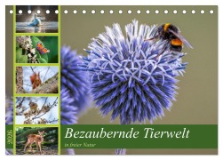Cover-Bild zum Titel 'Bezaubernde Tierwelt in freier Natur (Tischkalender 2026 DIN A5 quer), CALVENDO Monatskalender' von 'Thorsten Assfalg Photographie'