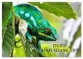 Tiere Madagaskars (Wandkalender 2024 DIN A3 quer), CALVENDO Monatskalender - Céline Baur