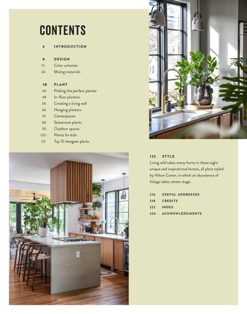 InsideView 4
