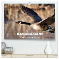 KANADA-GANS - Der 'hupende' Vogel (hochwertiger Premium Wandkalender 2025 DIN A2 quer), Kunstdruck in Hochglanz - Philippe Henry