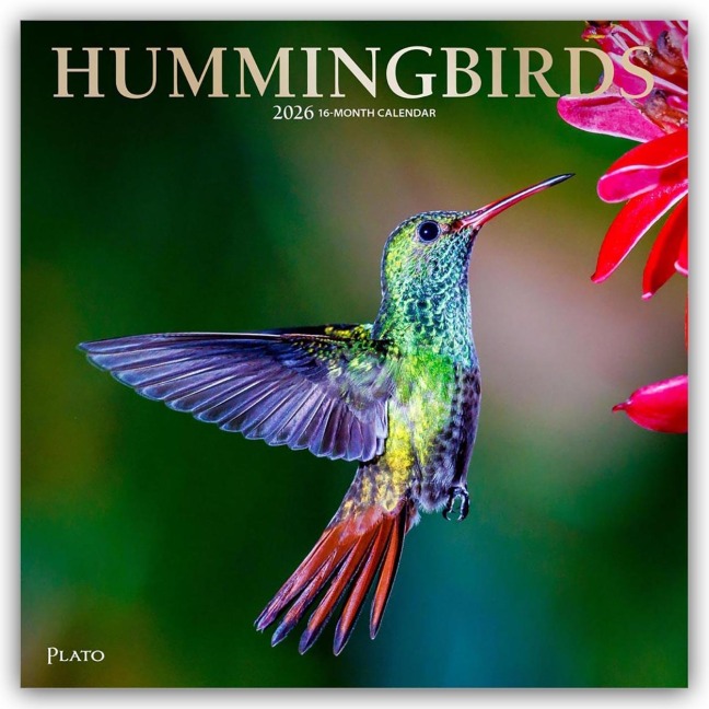 Hummingbirds - Kolibris 2026 - 16-Monatskalender - Browntrout Publishers