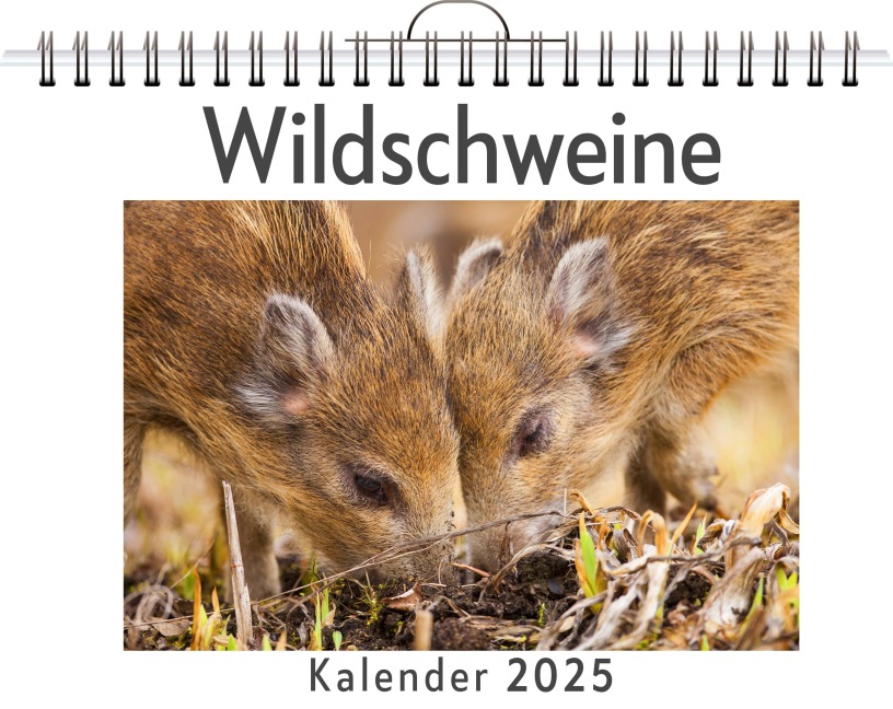 Wildschweine - Paul Lehmann