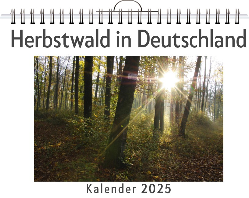 Herbstwald in Deutschland - Olivia Bauer